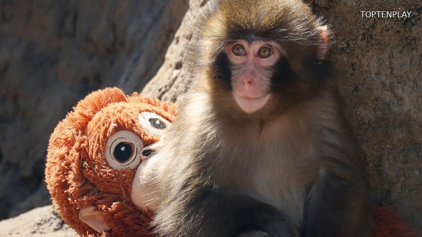 Image d'illustration © TopTenPlay