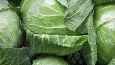 alimentation Anti-inflammatoire Bienfaits santé Chou chinois santé cardiovasculaire 