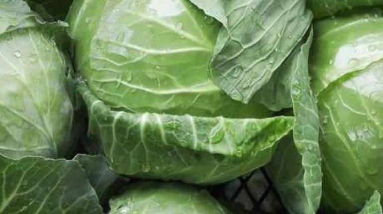 alimentation Anti-inflammatoire Bienfaits santé Chou chinois santé cardiovasculaire 