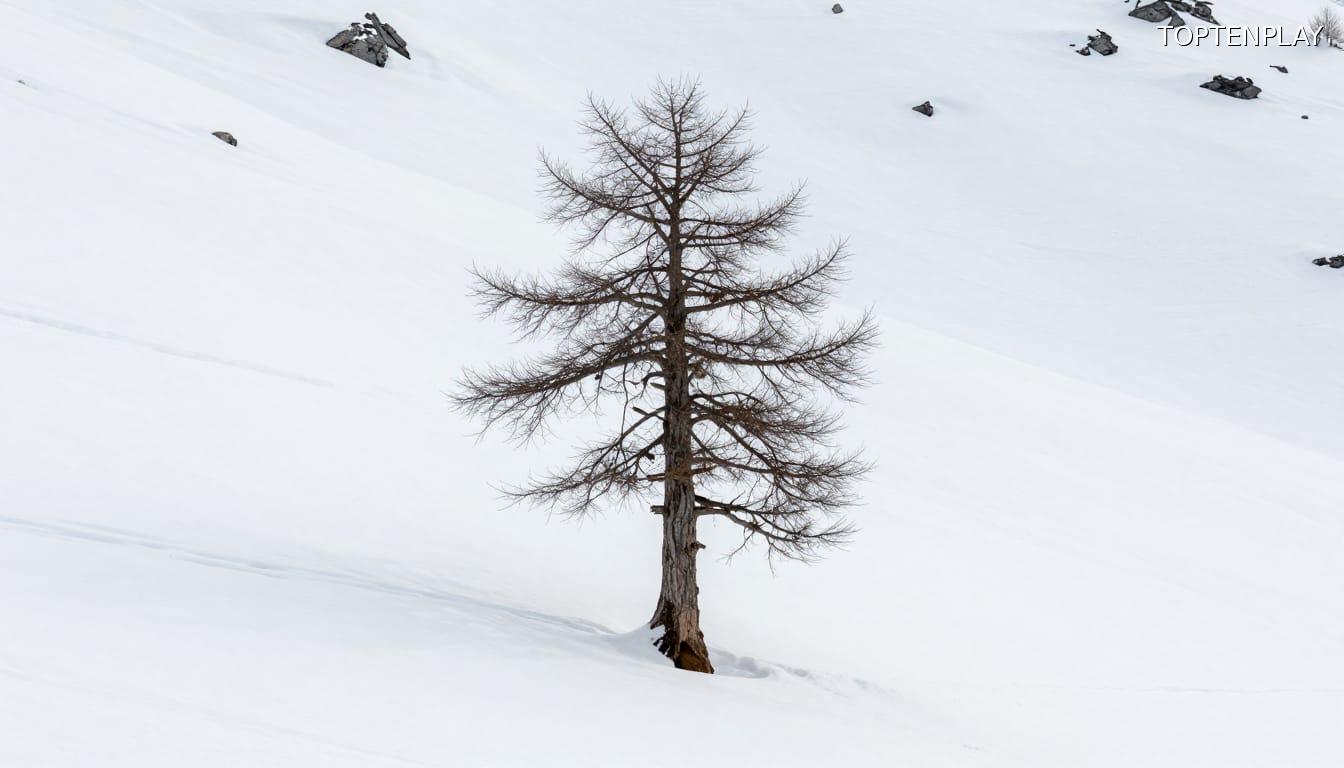 Image d'illustration © TopTenPlay