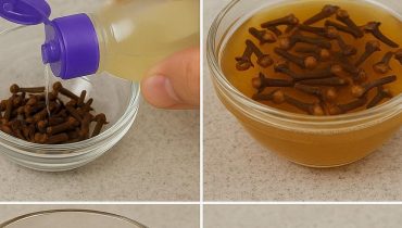 Alternatives écologiques Anti-insectes Astuce de maison Astuces DIY Bienfaits des fruits Colis piégés Vinaigre balsamique 