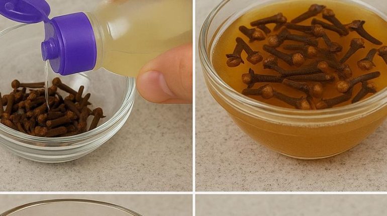 Alternatives écologiques Anti-insectes Astuce de maison Astuces DIY Bienfaits des fruits Colis piégés Vinaigre balsamique 