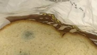 alimentation Alimentation Santé Anti-moisissure Conservation du pain Mycotoxines Risques naturels 