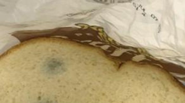 alimentation Alimentation Santé Anti-moisissure Conservation du pain Mycotoxines Risques naturels 