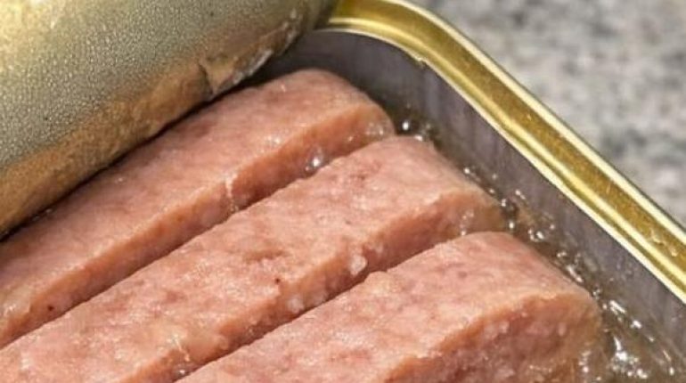 alimentation Boîtes de conserve Boulettes de viande Conservation des aliments Gelée Spam 