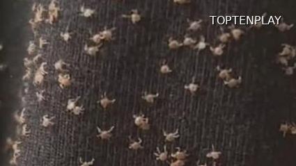 Image d'illustration © TopTenPlay