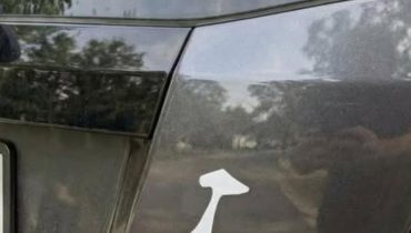 Culture locale Emblèmes d'État Pacifique Nord-Ouest Symbolisme Traditions ancestrales 