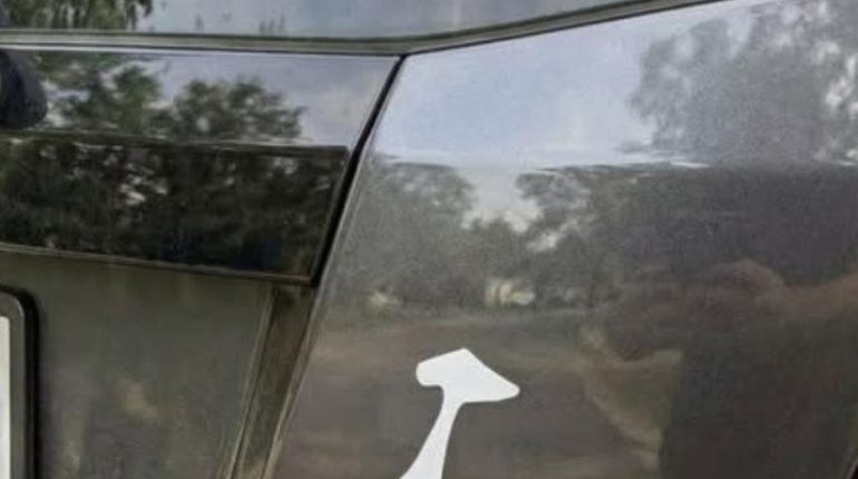 Culture locale Emblèmes d'État Pacifique Nord-Ouest Symbolisme Traditions ancestrales 