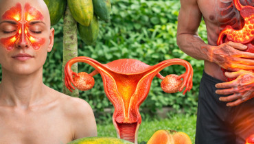 Alternatives foie gras Bienfaits des graines Digestion Graines de papaye Immunité Santé naturelle 