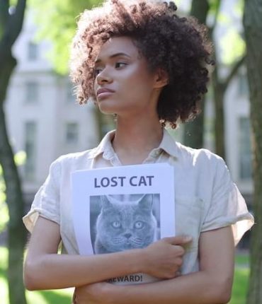 Espagne-France : Un chat parcourt 250 km en cinq mois pour retrouver ses maîtres après une chute de camping-car