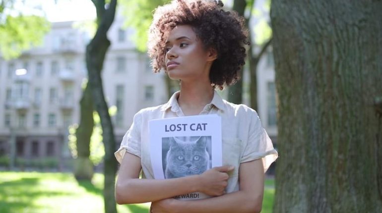 ’il est un chat Abandon Animaux accusent la France Communauté gens du voyage Dîner en famille Espagne 