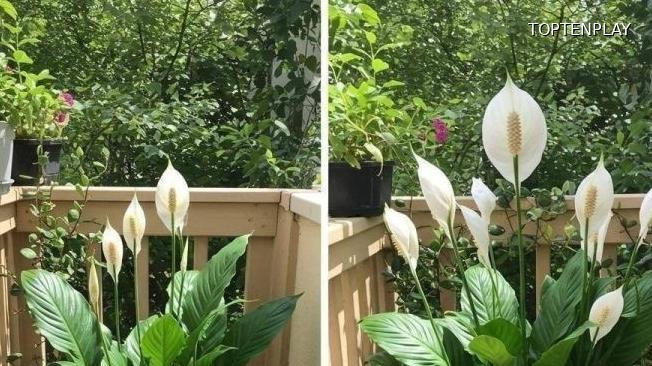 Symbolbild © TopTenPlay