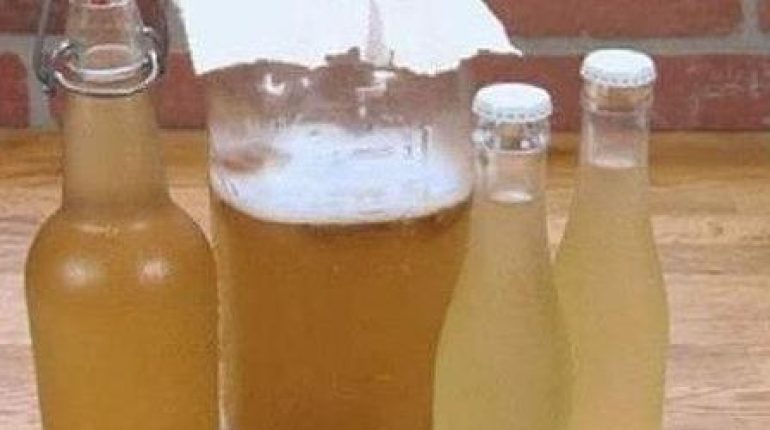 Alimentation Santé bien être Bienfaits gingembre Bienfaits nutritionnels Boisson minceur Brûleur de graisse perte de poids 