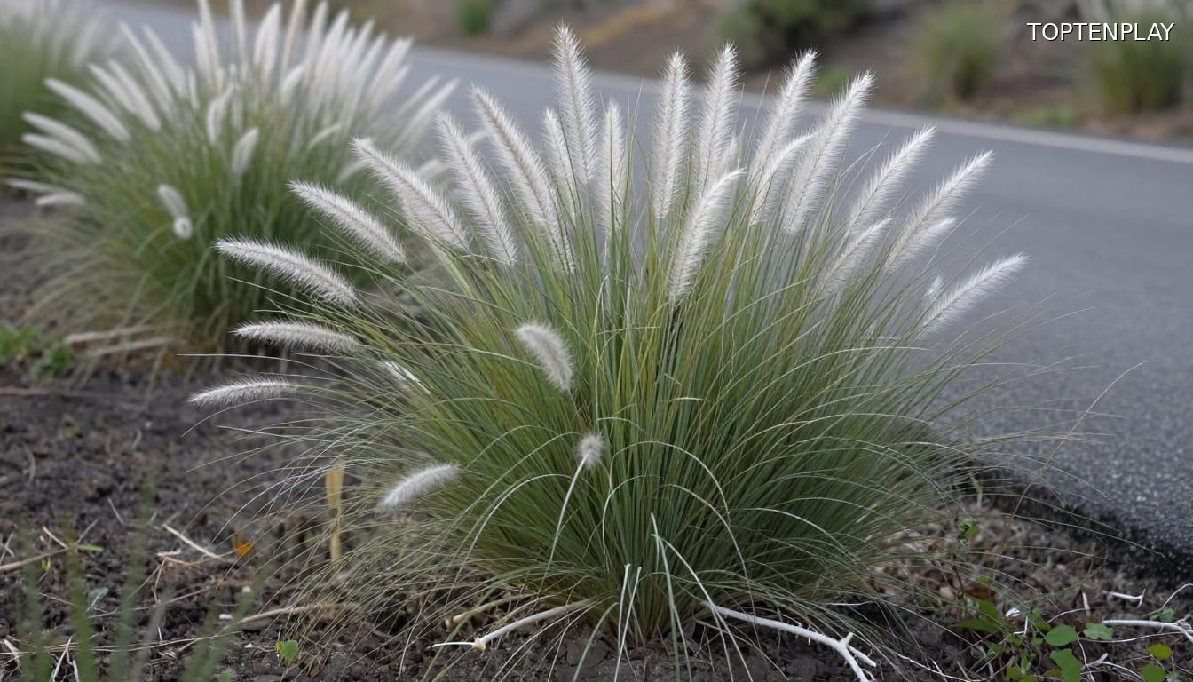 Symbolbild © TopTenPlay