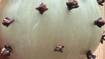 Ail et oignon Alimentation Santé Astuce cuisine bienfaits Clous de girofle Cuisine traditionnelle Remède maison 