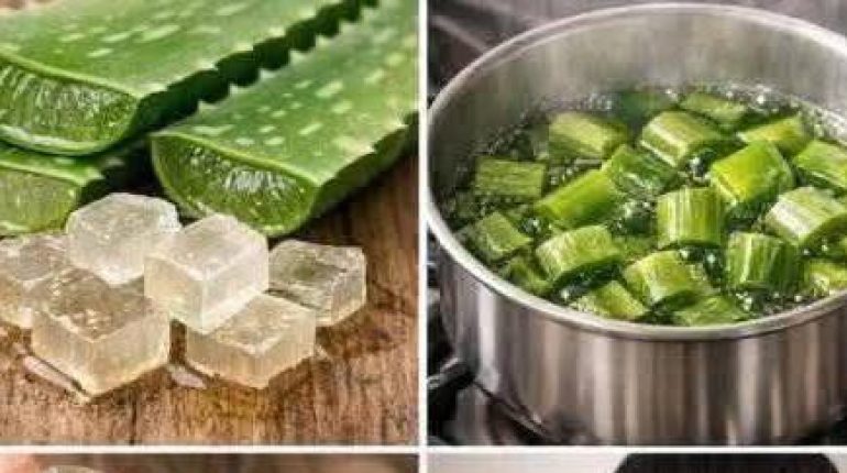 Aloe vera Chute de cheveux Croissance des cheveux Huile maison Remède naturel Soin des cheveux 