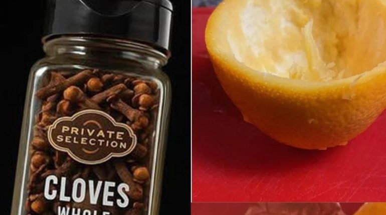 Ambiance chaleureuse Artisanat Bougie DIY Bougie naturelle Décoration orange Recette facile 