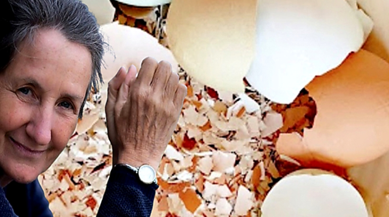 bicarbonate de soude Blanchiment dentaire Coquilles d'œufs Remèdes maison santé bucco-dentaire Soins naturels 