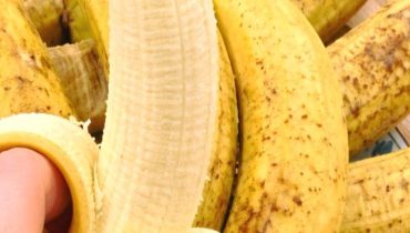 alimentation Banane Chèque énergie Digestion glycémie Transit intestinal Vitalité 