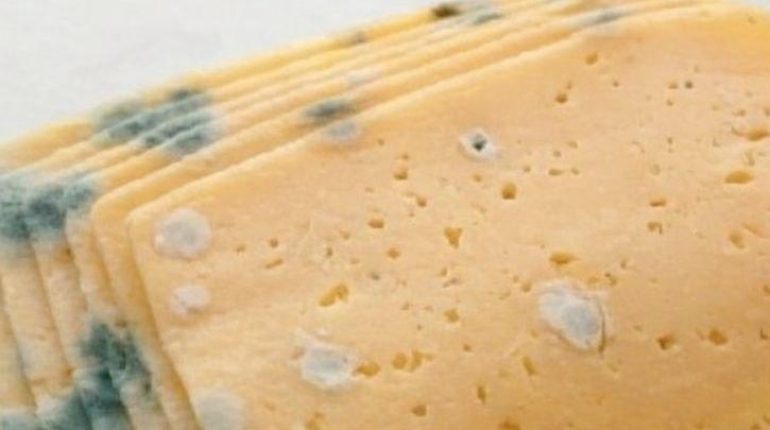 Aliments non périssables Aliments périssables Conservation des aliments Consommation alimentaire Dates de péremption gaspillage alimentaire 