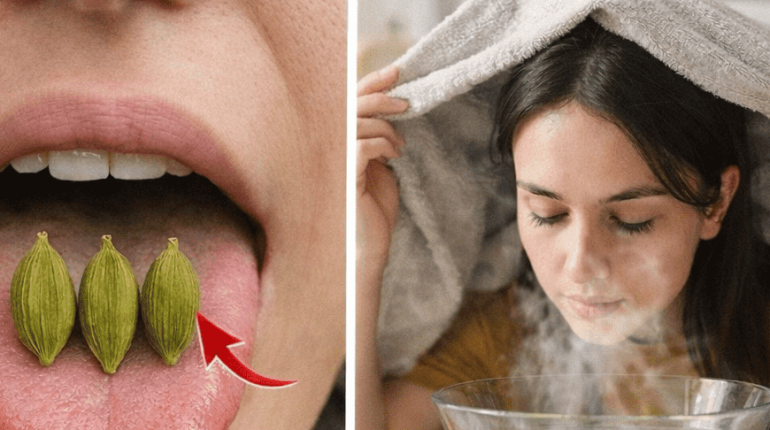 Bienfaits santé Cardamome Circulation Digestion Épices Pression artérielle 