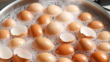 20 astuces Astuce de maison Astuces DIY Astuces jardinage Compost Coquilles d'œufs LE RECYCLAGE. 