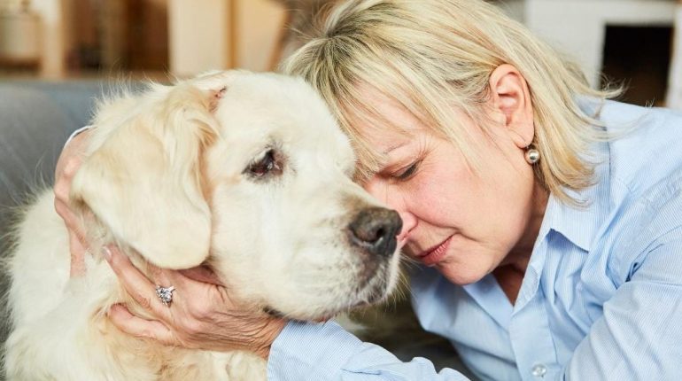accusent la France Bien-être Animal Congés payés Deuil animalier Droit du travail Espagne 