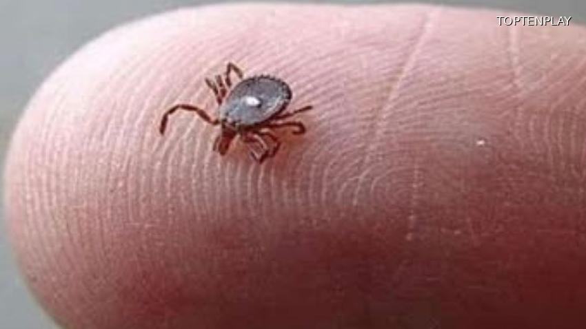 Image d'illustration © TopTenPlay