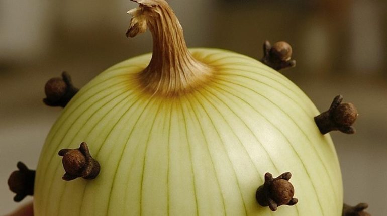 Ail et oignon Astuces culinaires Cuisine française Recettes avocat Saveurs Soupes 