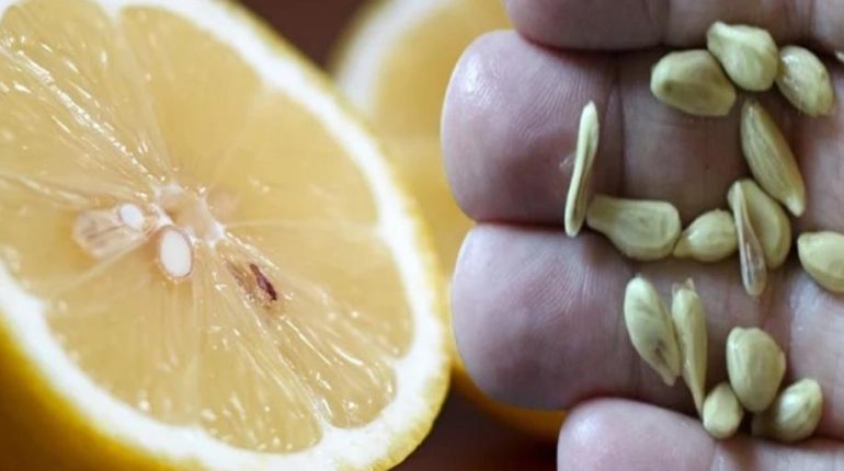 Astuce cuisine Astuces beauté Astuces jardinage Astuces maison Astuces naturelles Beurre citronné LE RECYCLAGE. 