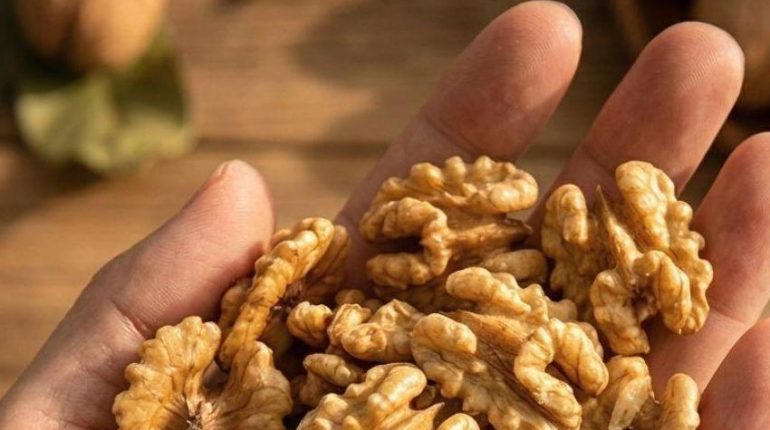 alimentation bien être Bienfaits des noix Bienfaits nutritionnels Oméga-3 Santé cardiaque 