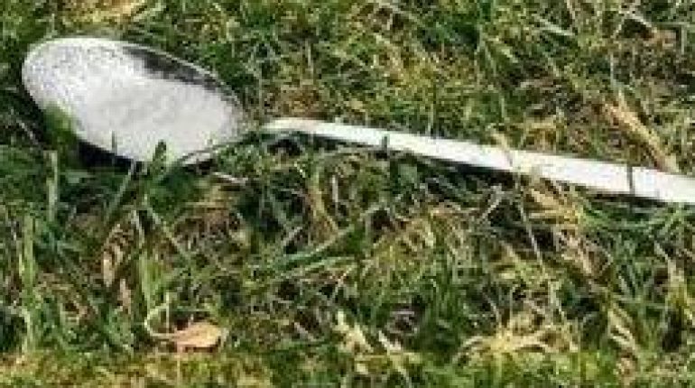 Abeilles agriculture Aveyron Astuces naturelles biodiversité environnement Pollinisateurs 