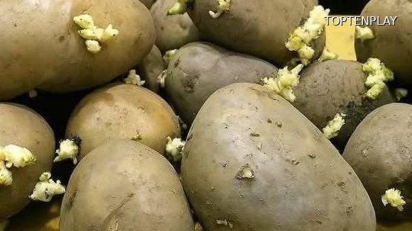 Image d'illustration © TopTenPlay