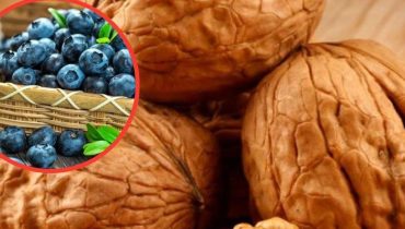 Antioxydants Bienfaits nutritionnels Cancer du cerveau Cognition Gâteau aux myrtilles Santé Cérébrale 