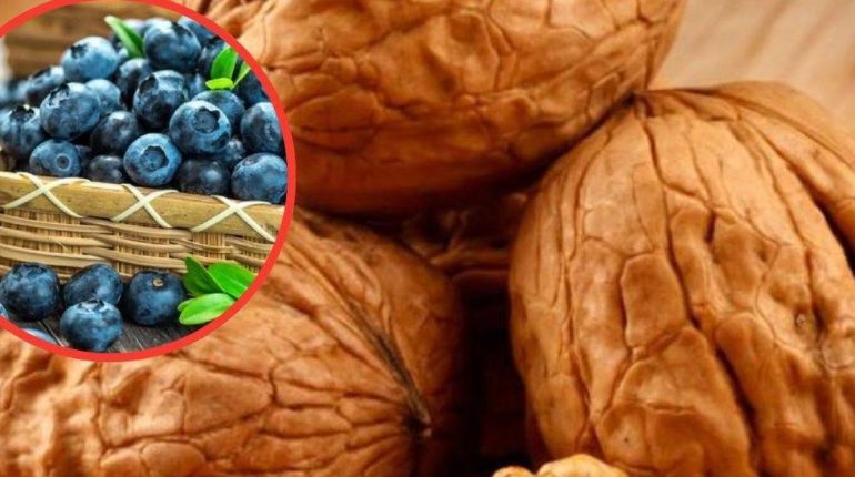 Antioxydants Bienfaits nutritionnels Cancer du cerveau Cognition Gâteau aux myrtilles Santé Cérébrale 