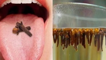 bien être Clou de girofle Digestion Infusions Santé naturelle système immunitaire 