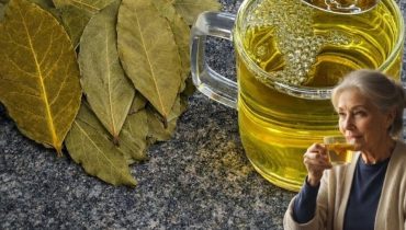 Bienfaits santé Calcium Carences Nutritionnelles Moringa Plantes médicinales Protéines et légumes Superaliment 