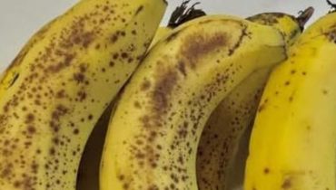 Alimentation saine Bananes Bienfaits des fruits Carences Nutritionnelles Maturité des fruits 
