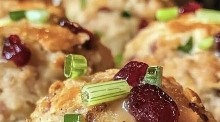 Apéritif Bouchées Canneberges Dinde envisageable avant les fêtes Farce Idée recette 