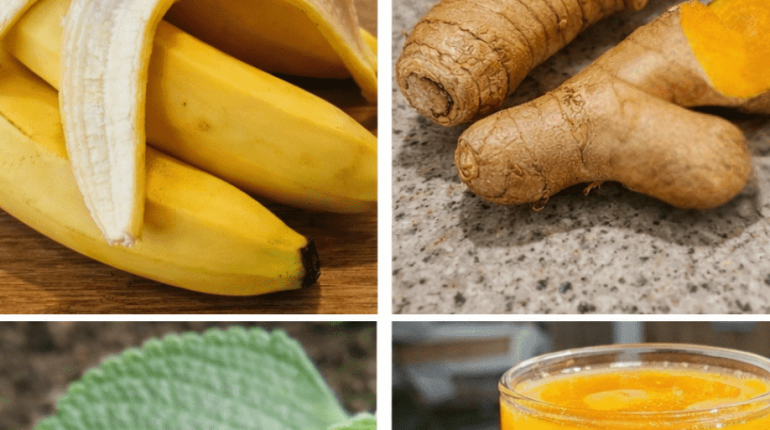 Anti-inflammatoire Antioxydants bien être Boissons énergisantes Conducteurs seniors fatigue Santé naturelle 