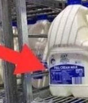 Courses chez Aldi : voici les produits où vous économisez vraiment (et ceux à éviter)