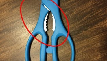 Casse-noix Ciseaux de cuisine Décapsuleur Ouvre-bocal Ustensile de cuisine 