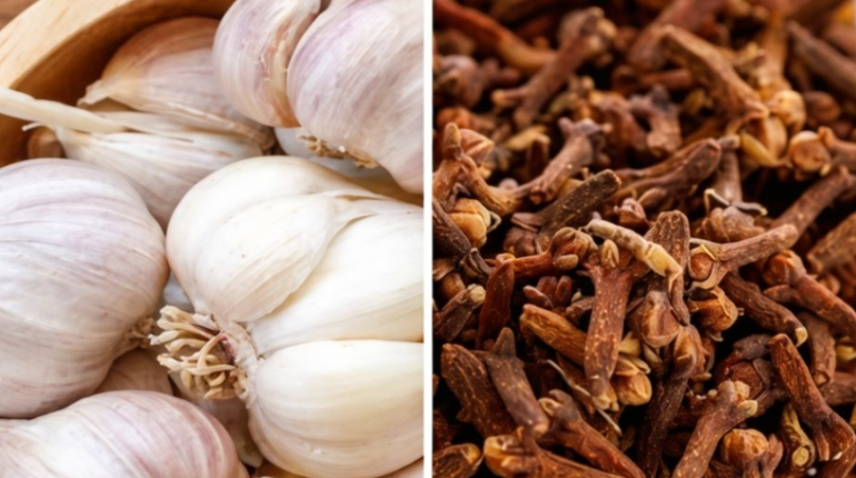 Bienfaits santé Clous de girofle Digestion Eugénol glycémie Immunité 