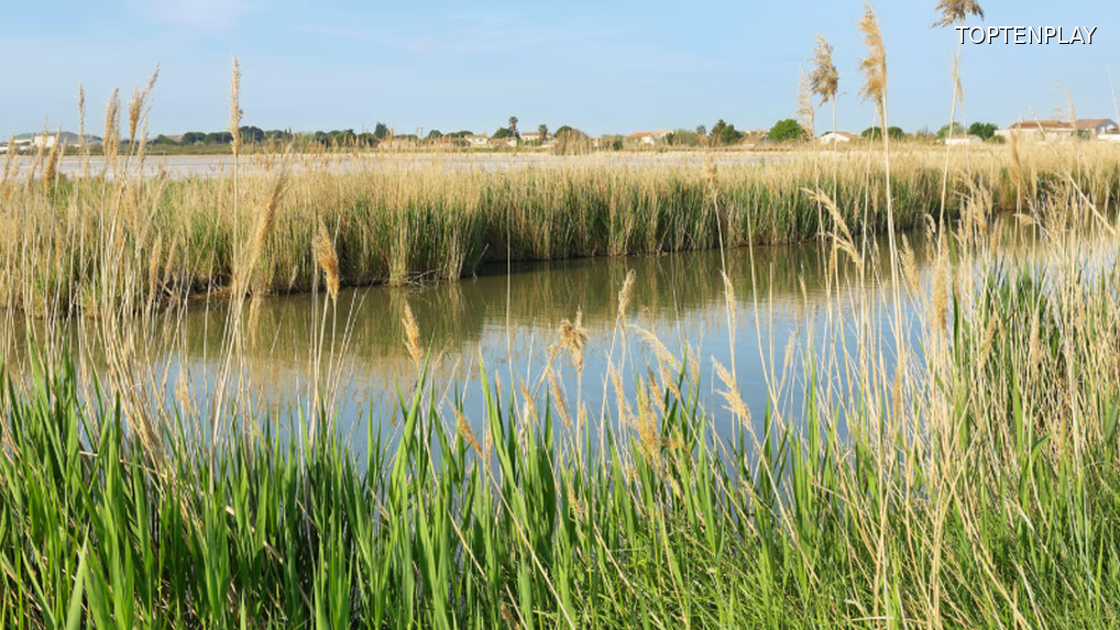 Image d'illustration © TopTenPlay