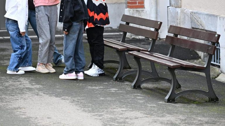 allergie adolescence Bourse collège Carpentras Code de la sécurité sociale Vaucluse violence 