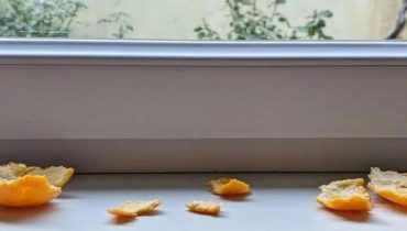 20 astuces Air intérieur Astuces naturelles Désodorisant Écorces d'orange confites Mandarine 