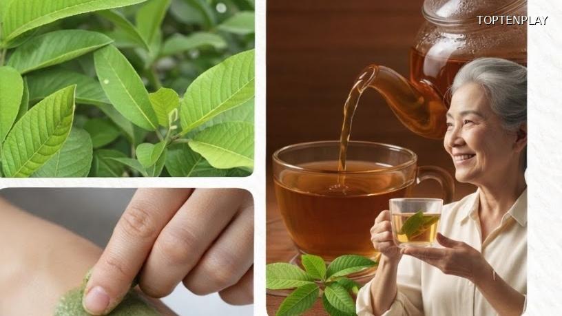 Image d'illustration © TopTenPlay