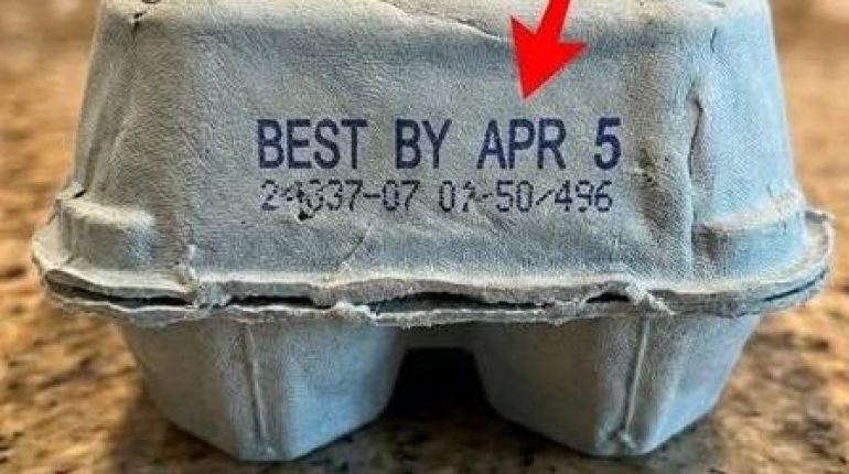 Astuces de conservation Conservation des œufs Dates de péremption fraîcheur Sécurité alimentaire 