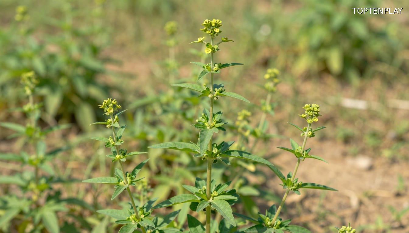 Image d'illustration © TopTenPlay