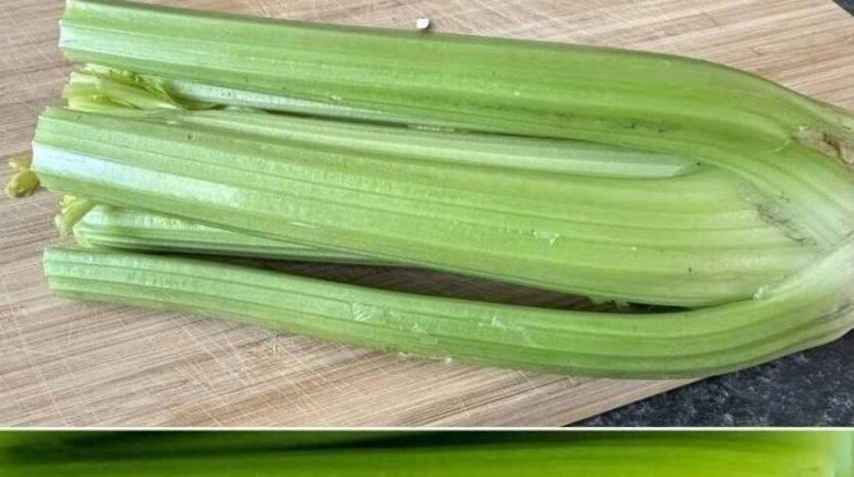 alimentation Alternatives foie gras bien être Céleri Détox Recette saine 